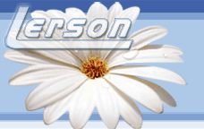 Lerson.ee